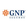 GNP
